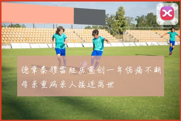 德章泰穆雷经历重创一年伤痛不断母亲重病亲人接连离世